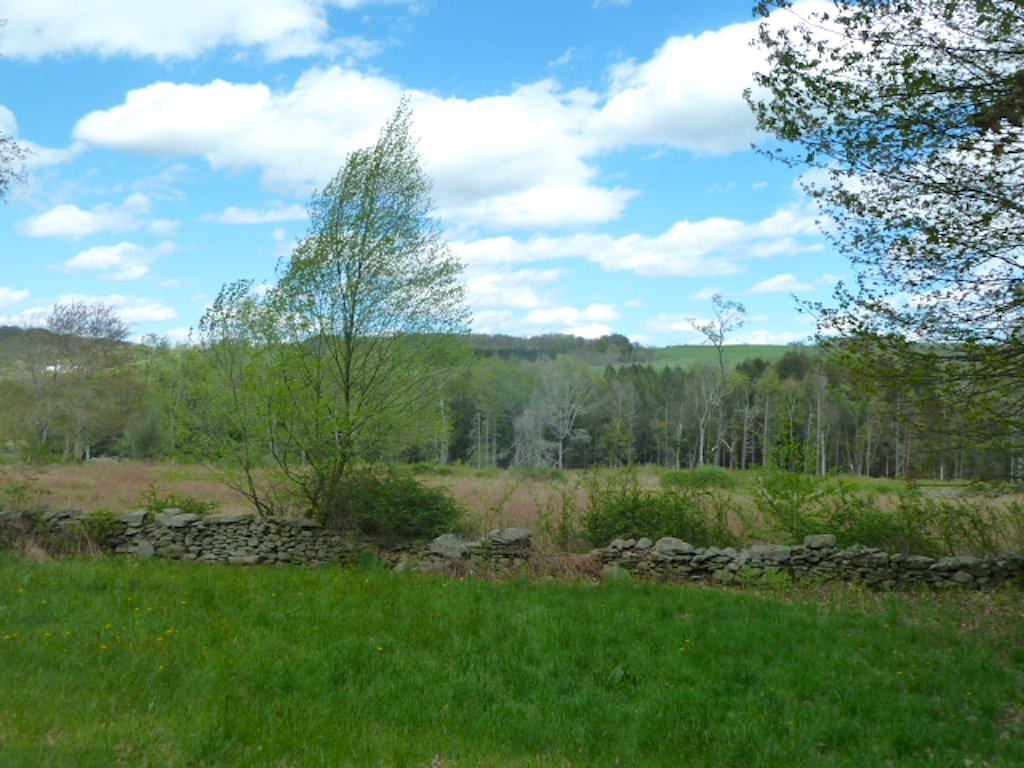 barn view