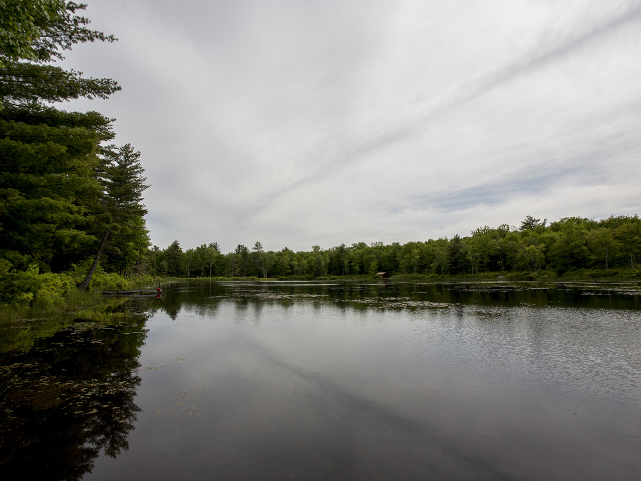 Wilderness Lake