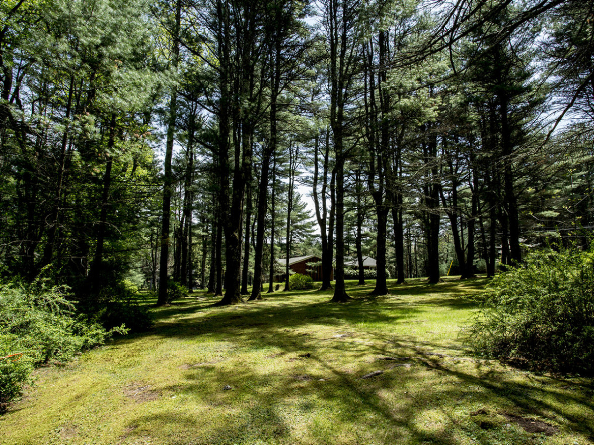 50 secluded acres