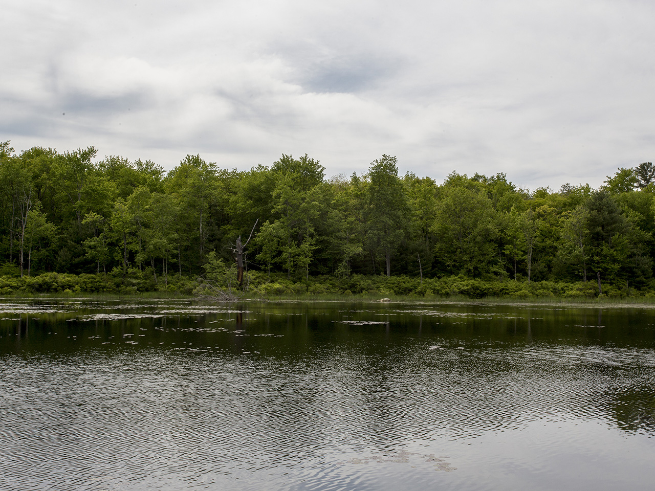 wilderness lake